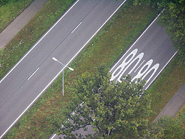 Bosche weg van boven