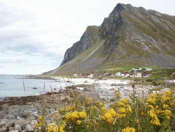 Een willekeurig baaitje op de Lofoten