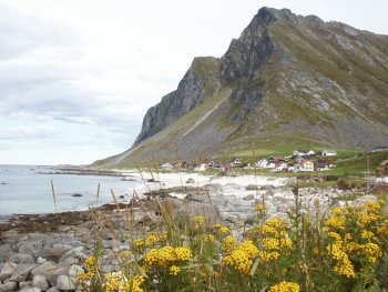 Een willekeurig baaitje op de Lofoten