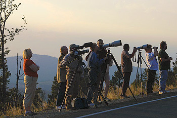 size matters, Yellowstone 2006