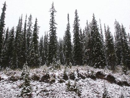 Sneeuw in september