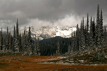 Winter wonder land op Mount Revelstoke