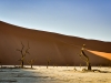 Death Vlei (Sossusvlei)