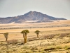 Namib-Naukluft NP