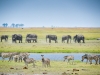 Chobe National Park