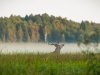 15_Polen-post-2-2328