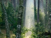 61_Polen-post-2-4051